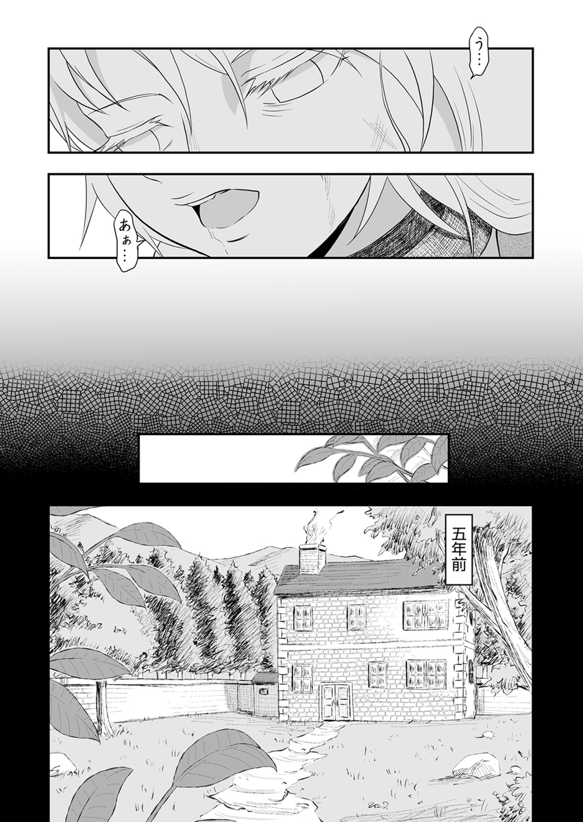 『堕ちた彼女と彼～貴族に目を付けられた村娘の末路～』 作者